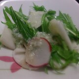 カブと水菜の塩麹ドレッシングサラダ